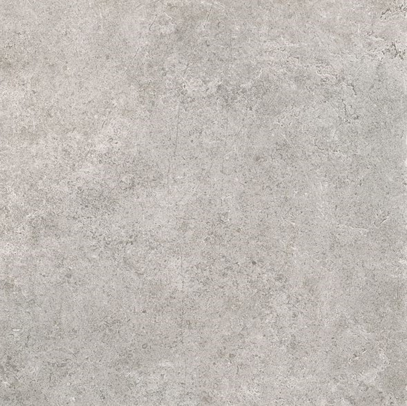 KALK cinericius 60x60 lapp rett L58 01