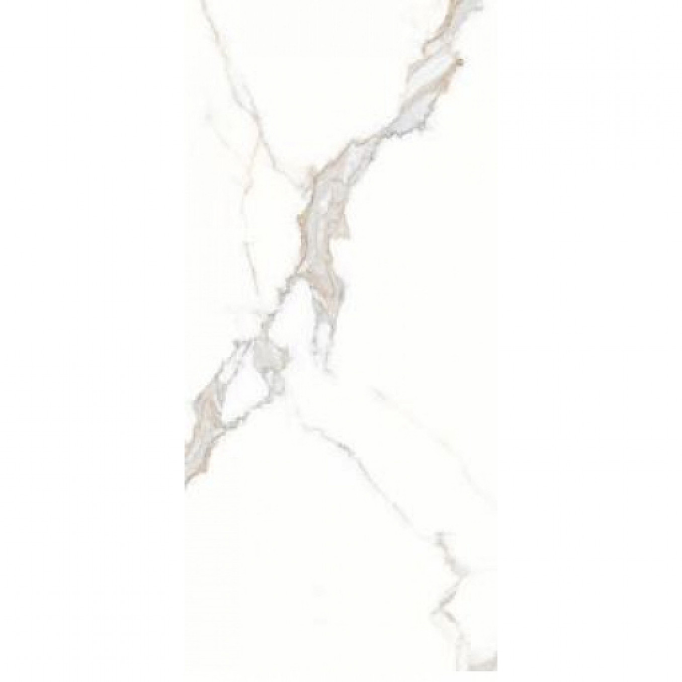 STATUARIO nex (PGVS-B861) 60x120 rett (P)