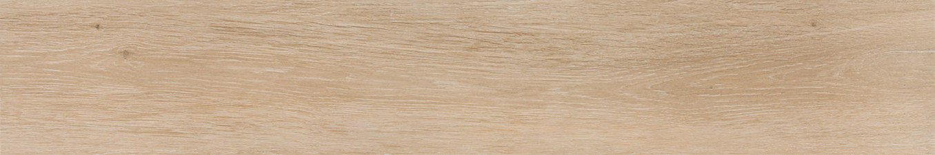 VIGGO arce 20x120 rett EG01 954 (P)