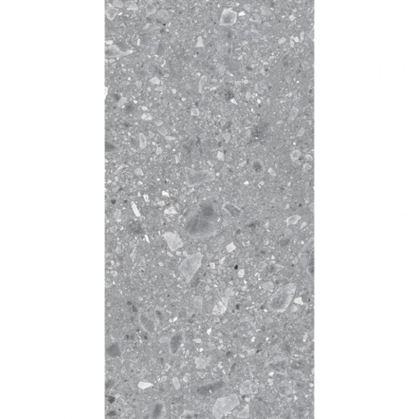 REALSTONE CEPPO grigio 60x120 rett B10 8